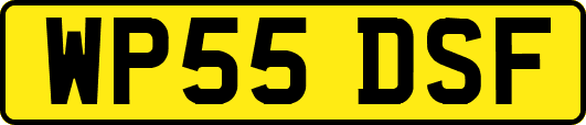 WP55DSF