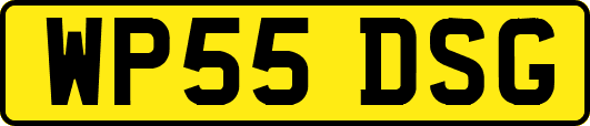 WP55DSG