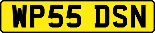 WP55DSN