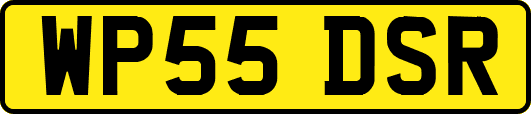 WP55DSR