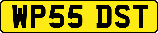 WP55DST