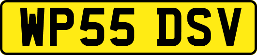 WP55DSV