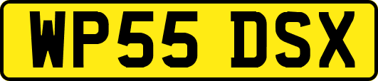WP55DSX