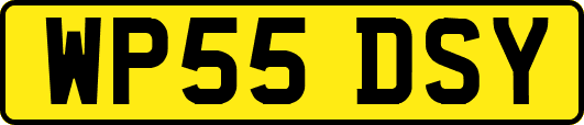 WP55DSY