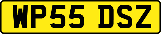 WP55DSZ