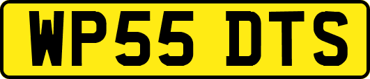 WP55DTS