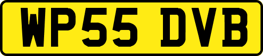 WP55DVB