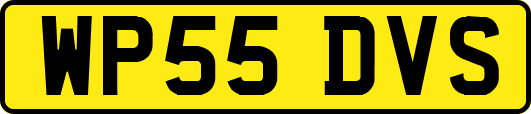 WP55DVS