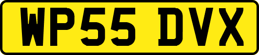 WP55DVX