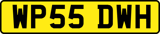 WP55DWH