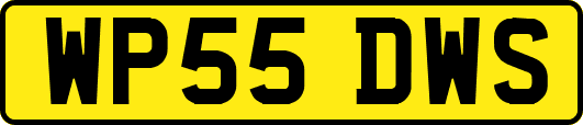 WP55DWS
