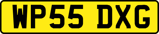 WP55DXG