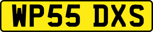 WP55DXS
