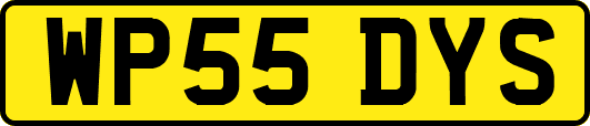 WP55DYS