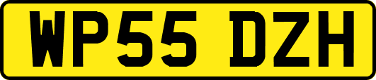 WP55DZH