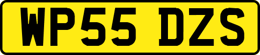 WP55DZS