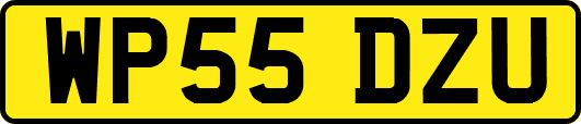 WP55DZU
