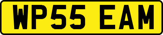 WP55EAM