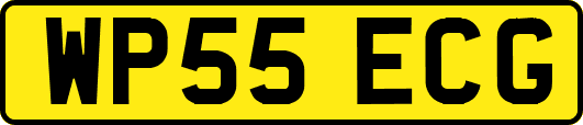 WP55ECG