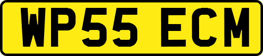 WP55ECM