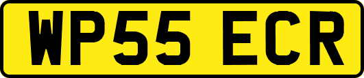 WP55ECR