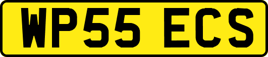 WP55ECS