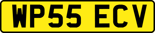 WP55ECV
