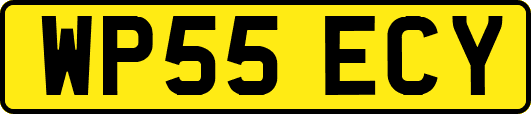 WP55ECY