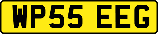 WP55EEG