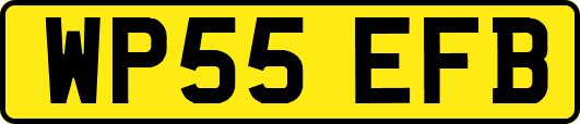 WP55EFB