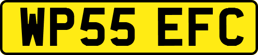 WP55EFC