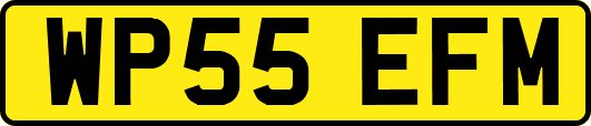 WP55EFM