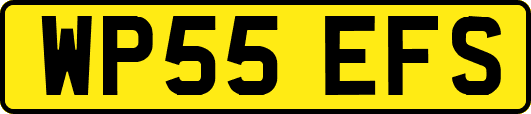 WP55EFS