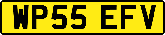 WP55EFV