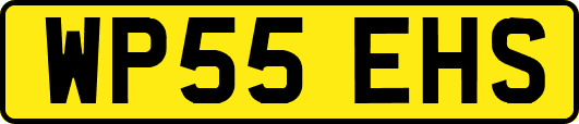 WP55EHS