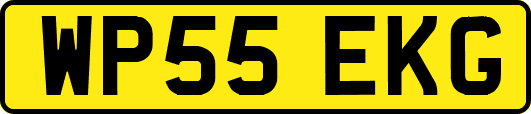 WP55EKG