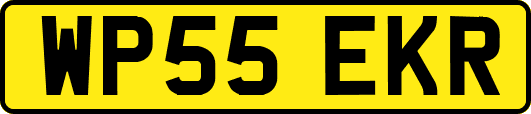 WP55EKR