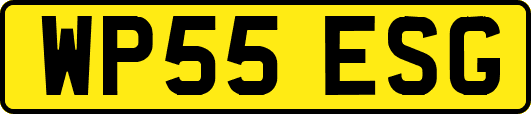WP55ESG