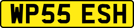 WP55ESH