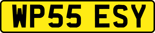 WP55ESY