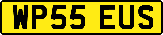 WP55EUS