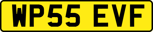 WP55EVF