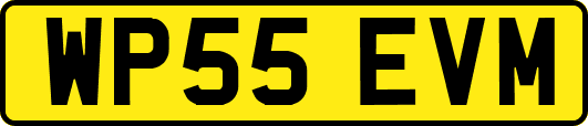 WP55EVM