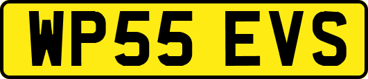 WP55EVS