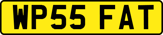 WP55FAT