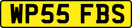 WP55FBS
