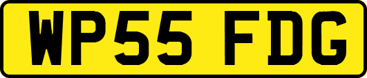 WP55FDG