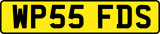 WP55FDS