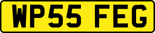WP55FEG