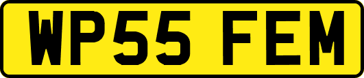 WP55FEM